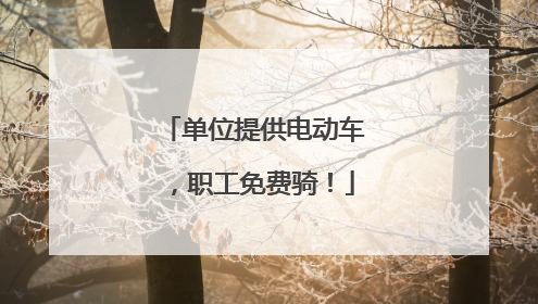 单位提供电动车，职工免费骑！