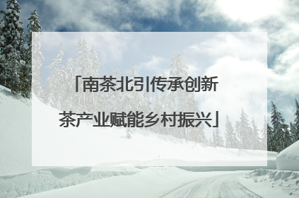 南茶北引传承创新 茶产业赋能乡村振兴