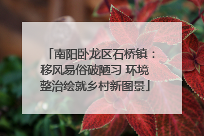 南阳卧龙区石桥镇：移风易俗破陋习 环境整治绘就乡村新图景