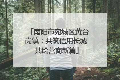南阳市宛城区黄台岗镇：共筑信用长城 共绘营商新篇