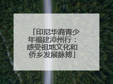 印尼华裔青少年福建漳州行：感受祖地文化和侨乡发展脉搏