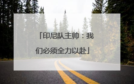 印尼队主帅：我们必须全力以赴