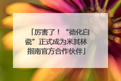 厉害了！“德化白瓷”正式成为米其林指南官方合作伙伴