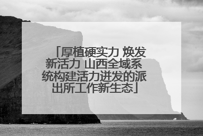 厚植硬实力 焕发新活力 山西全域系统构建活力迸发的派出所工作新生态