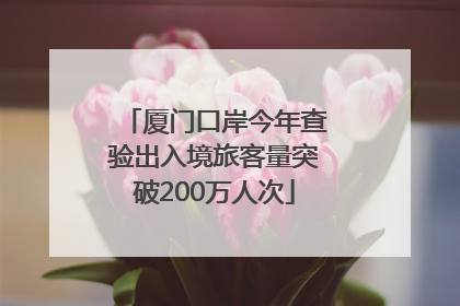 厦门口岸今年查验出入境旅客量突破200万人次