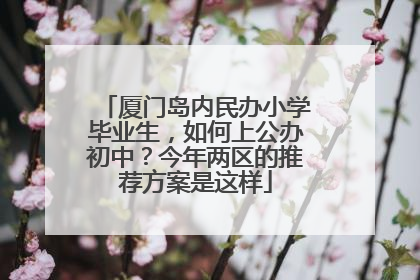厦门岛内民办小学毕业生，如何上公办初中？今年两区的推荐方案是这样