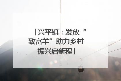 兴平镇：发放“致富羊”助力乡村振兴启新程