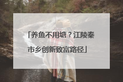 养鱼不用塘？江陵秦市乡创新致富路径