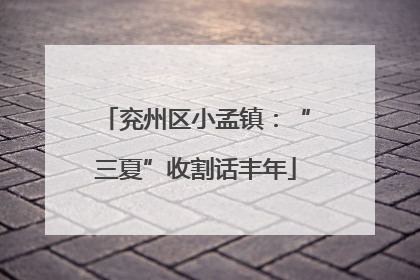兖州区小孟镇：“三夏”收割话丰年