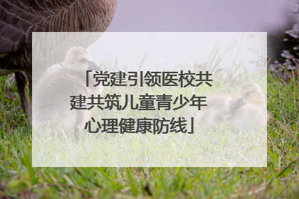 党建引领医校共建共筑儿童青少年心理健康防线