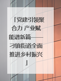党建引领聚合力 产业赋能谱新篇——刁镇街道全面推进乡村振兴