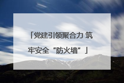 党建引领聚合力 筑牢安全“防火墙”
