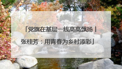 党旗在基层一线高高飘扬丨张桂芳：用青春为乡村添彩