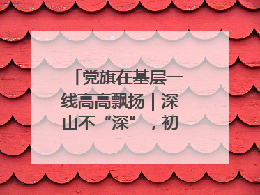 党旗在基层一线高高飘扬｜深山不“深”，初心很“红”