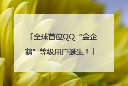 全球首位QQ“金企鹅”等级用户诞生！