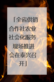 全省供销合作社农业社会化服务 现场推进会在泰兴召开