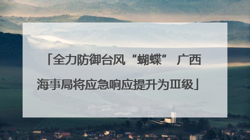 全力防御台风“蝴蝶” 广西海事局将应急响应提升为Ⅲ级