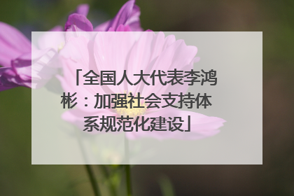 全国人大代表李鸿彬：加强社会支持体系规范化建设
