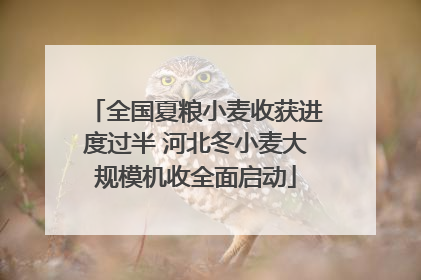 全国夏粮小麦收获进度过半 河北冬小麦大规模机收全面启动