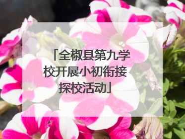全椒县第九学校开展小初衔接探校活动