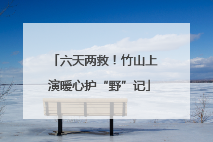 六天两救！竹山上演暖心护“野”记