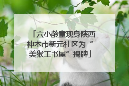 六小龄童现身陕西神木市新元社区为“美猴王书屋”揭牌