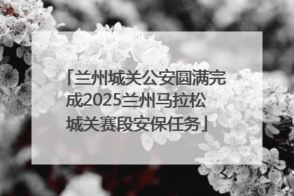 兰州城关公安圆满完成2025兰州马拉松城关赛段安保任务