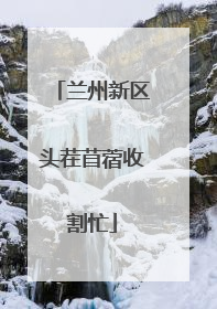 兰州新区头茬苜蓿收割忙