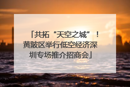 共拓“天空之城”！黄陂区举行低空经济深圳专场推介招商会