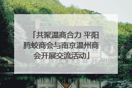 共聚温商合力 平阳腾蛟商会与南京温州商会开展交流活动