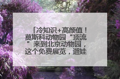 冷知识+高颜值！莫斯科动物园“顶流”来到北京动物园，这个免费展览，遛娃拍照两不误！