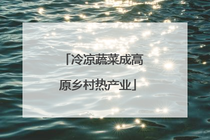 冷凉蔬菜成高原乡村热产业