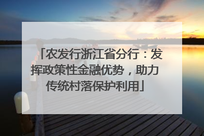农发行浙江省分行：发挥政策性金融优势，助力传统村落保护利用