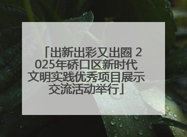出新出彩又出圈 2025年硚口区新时代文明实践优秀项目展示交流活动举行