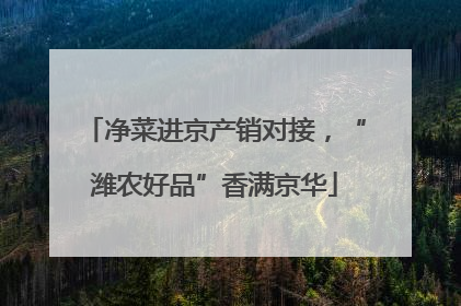 净菜进京产销对接，“潍农好品”香满京华