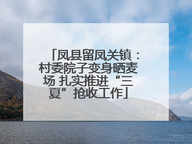 凤县留凤关镇：村委院子变身晒麦场 扎实推进“三夏”抢收工作
