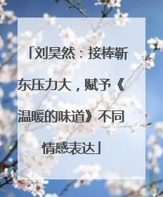 刘昊然：接棒靳东压力大，赋予《温暖的味道》不同情感表达