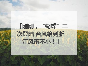 刚刚，“蝴蝶”二次登陆 台风给到浙江风雨不小！