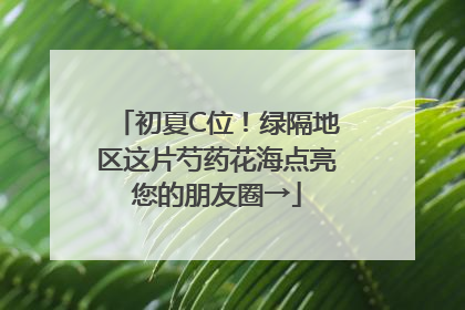 初夏C位！绿隔地区这片芍药花海点亮您的朋友圈→