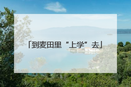 到麦田里“上学”去