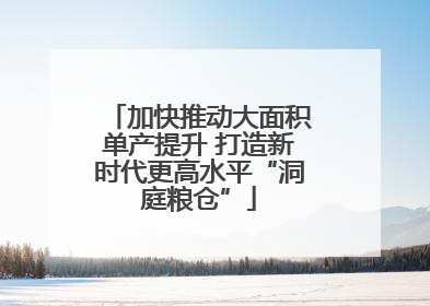 加快推动大面积单产提升 打造新时代更高水平“洞庭粮仓”
