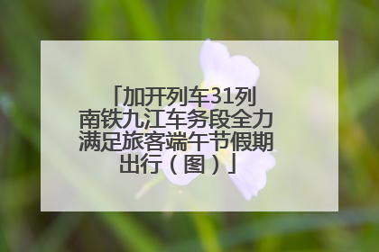 加开列车31列 南铁九江车务段全力满足旅客端午节假期出行（图）