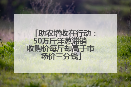 助农增收在行动:50万斤洋葱滞销 收购价每斤却高于市场价三分钱