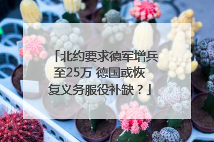北约要求德军增兵至25万 德国或恢复义务服役补缺？