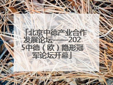 北京中德产业合作发展论坛——2025中德（欧）隐形冠军论坛开幕