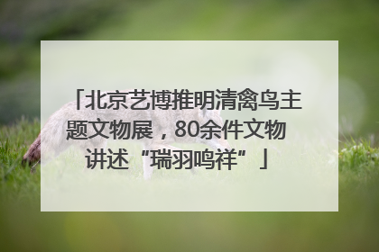 北京艺博推明清禽鸟主题文物展，80余件文物讲述“瑞羽鸣祥”