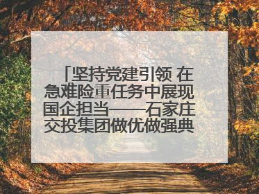 坚持党建引领 在急难险重任务中展现国企担当——石家庄交投集团做优做强典型报道之一