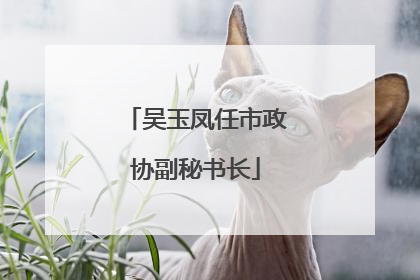 吴玉凤任市政协副秘书长