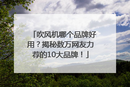 吹风机哪个品牌好用？揭秘数万网友力荐的10大品牌！