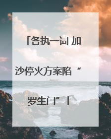 各执一词 加沙停火方案陷“罗生门”